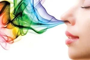 Registro de Marca | Promarca.com.ar